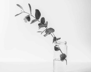 Seemple* Music for iPad