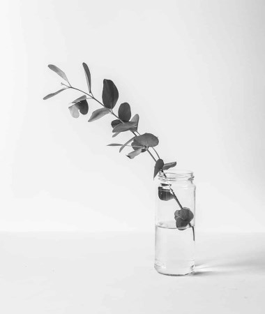 Seemple* Music for iPad