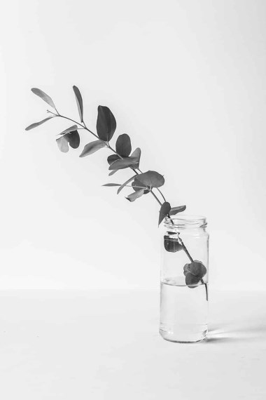 Seemple* Music for iPad