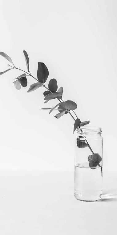 Seemple* Music for iPad